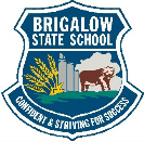 Brigalow State School - thumb 0