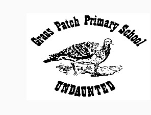 Grass Patch Primary School - Education Guide