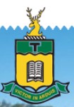 Scrub Creek QLD Education Guide