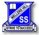 Wellers Hill QLD Education Guide