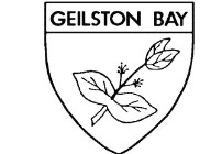 Geilston Bay High School - Education Guide