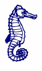 Albert Park Primary School - Education Guide