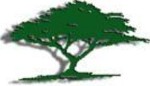 Cook School - Education Guide