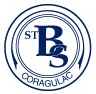 St Brendans School Coragulac - Education Guide