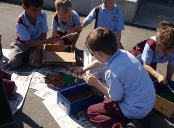 Wodonga Primary School - Education Guide