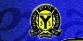 Yeronga State School - thumb 0