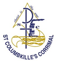 St Columbkille's Catholic Primary School - Education Guide