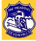 The Meadows Public School - Education Guide