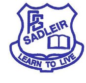 Sadleir Public School - Education Guide