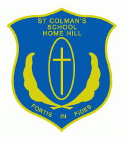 St Colman's School - thumb 0