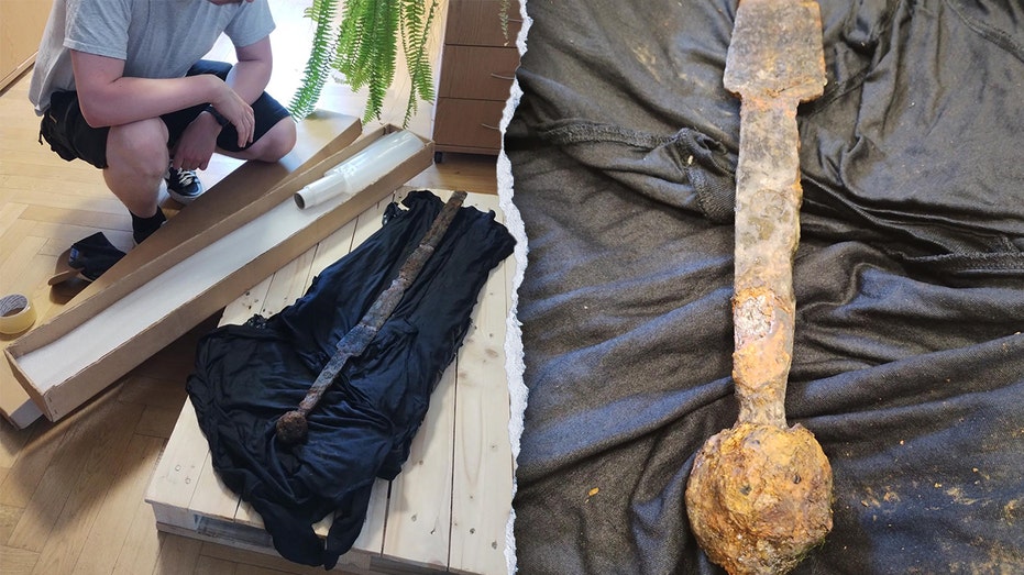 Angler expecting a fish pulls up rare 700-year-old sword: 'Real treasures' Education Guide