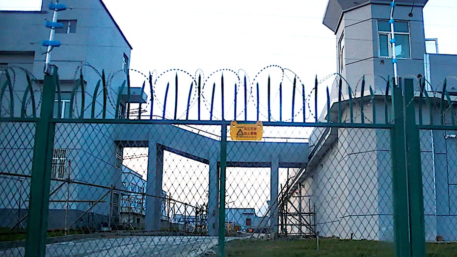 Mother recounts horrors of brutal Chinese detention camp where infant son died Education Guide